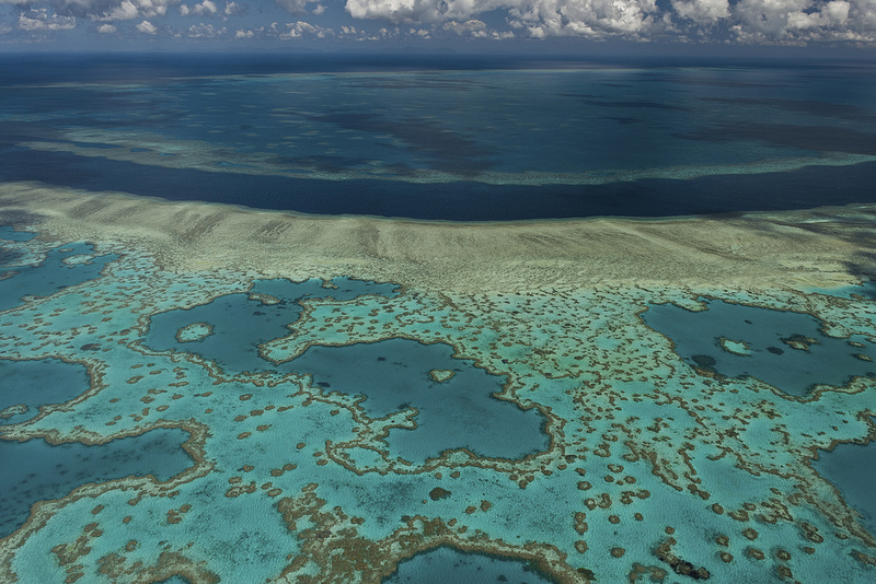 大堡礁:图片:绿党议员