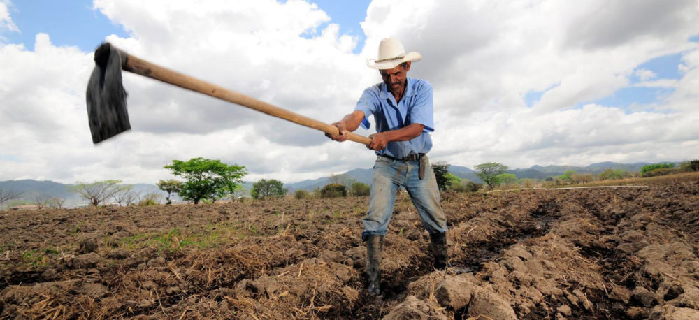 一名洪都拉斯农民在种植玉米前挖掘灌溉渠道。