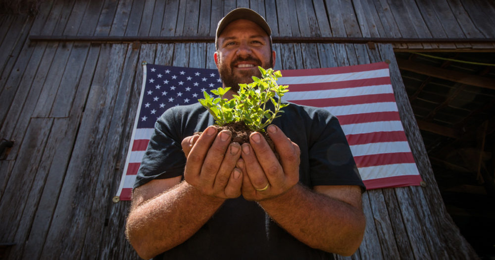 U.S. Marine Corps veteran Calvin Riggleman holds an oregano seedling and soil on Bigg Riggs farm in Hampshire County, WV