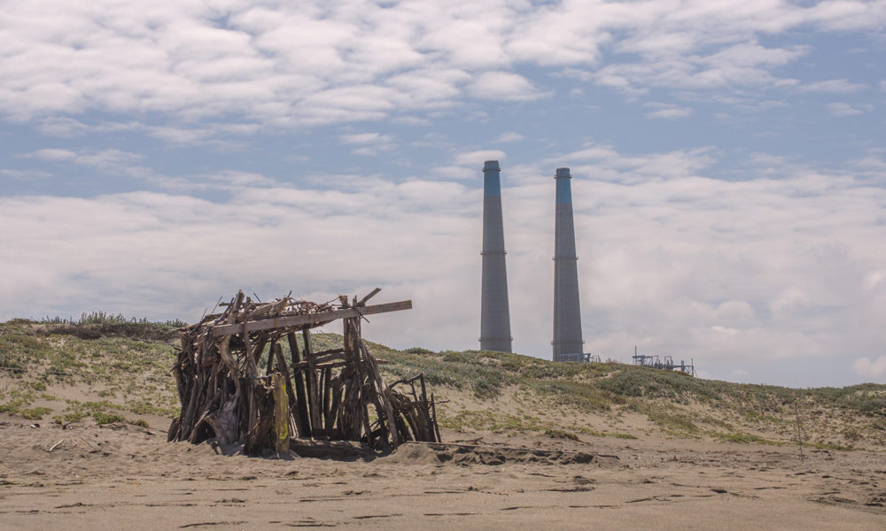 沙丘后面可见苔藓登陆发电厂的烟囱。