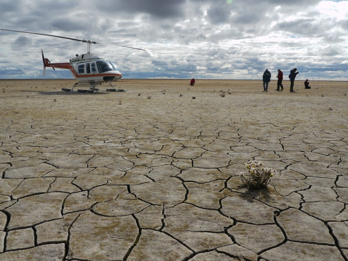 一架直升机和机组人员降落在加拿大巴芬岛一个干涸的北极湖上。以前的湖床已经破裂，贫瘠。