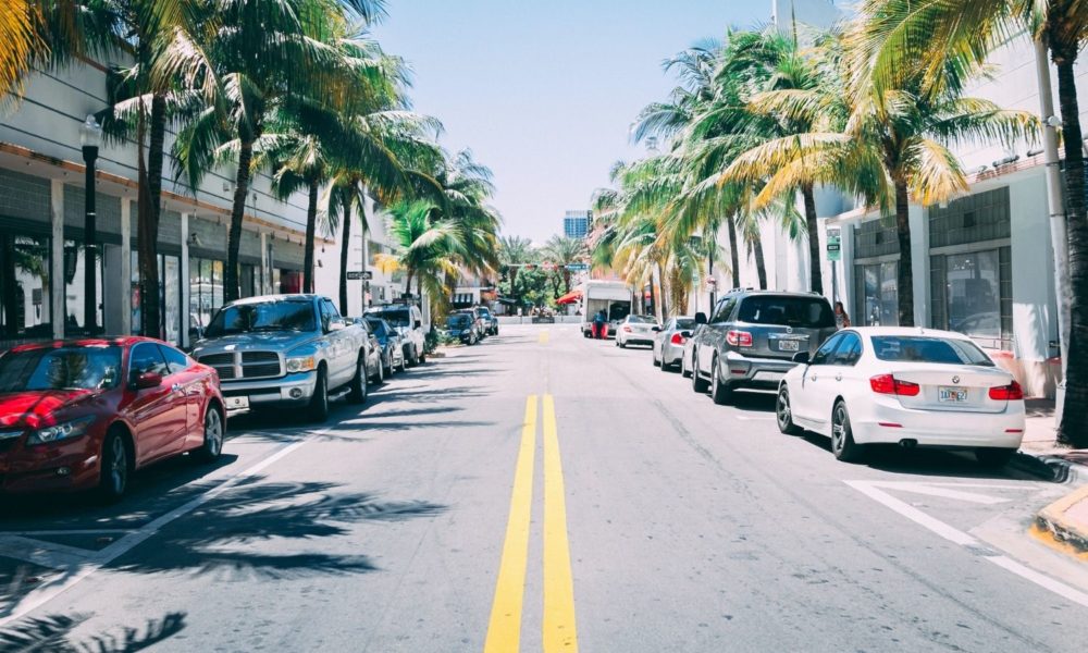 在灿烂的阳光下俯瞰南海滩的街道。棕榈叶看起来有点干燥。