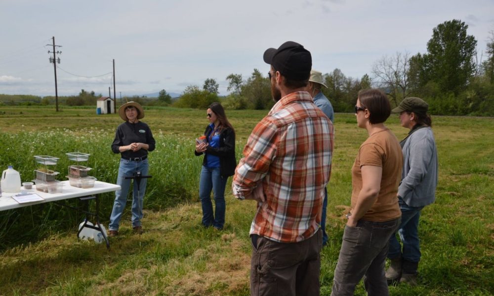 一小群非专业人士站在田间观察，美国农业部自然资源保护局的代表讨论使用覆盖作物的好处