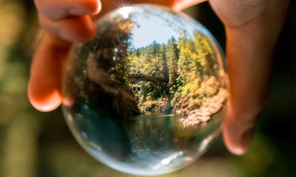 一只手拿着玻璃球;森林的景色映照在玻璃上