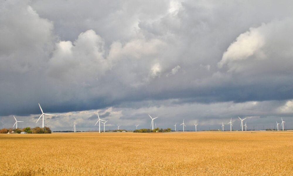 在明尼苏达州阿尔法市多云的天空下，风力涡轮机被设置在田野上