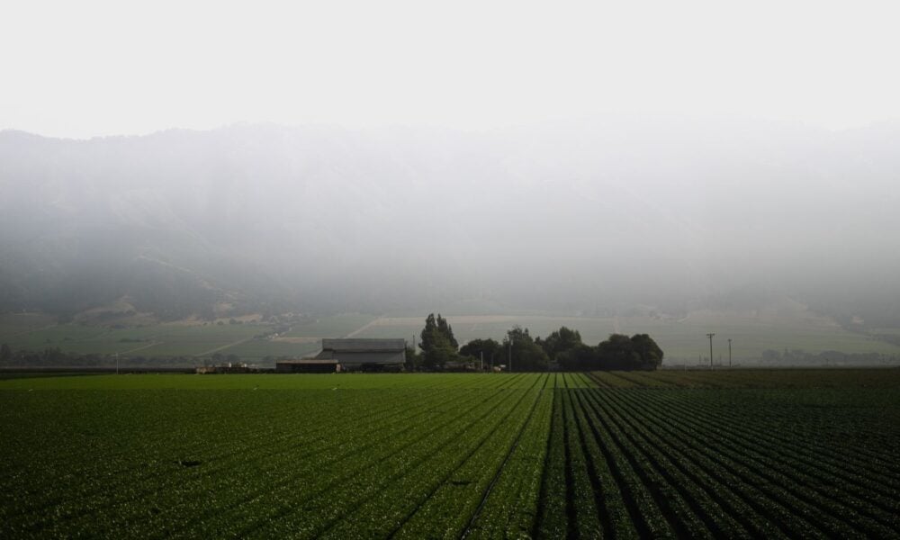 California farmland seen under a hazy sky