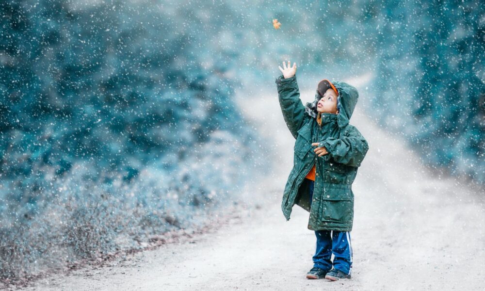 孩子在雪天伸手去摸落叶。