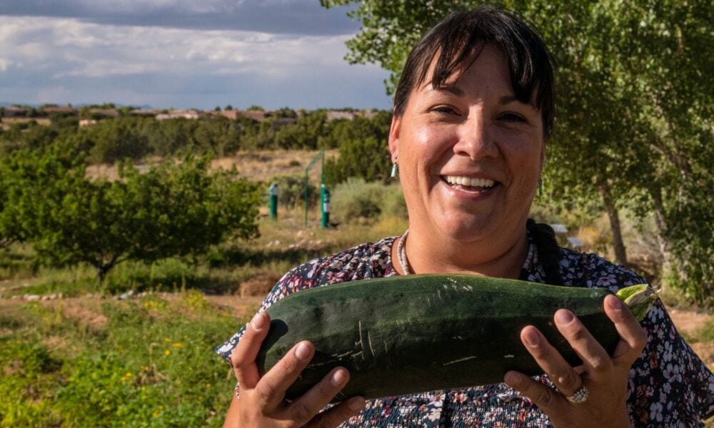 A person holds up an enormous zucchini, smiling (the person, not the zucchini). They are part of the Institute of American Indian Arts, a Land-Grant Tribal College and University. They are Land-Grant program Gardner Teresa Kaulaity Quintana (Kiowa), who leads the gardening team, operations, instruction and outreach for all things related the campus demonstration garden and greenhouse, in Santa Fe, NM. Photo taken on Sept. 11, 2019.