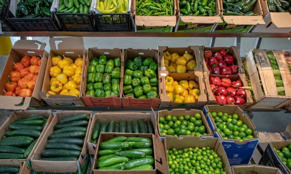 2019年4月26日，美国农业部(USDA)农业营销服务(AMS)市场新闻记者和专业作物检查员在芝加哥终端市场检查各种水果和蔬菜。
