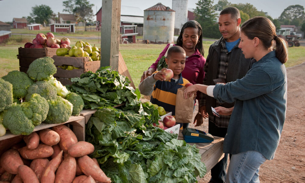 一个黑人家庭从一个白人女农民那里购买水果的照片，前景中展示着许多五颜六色的水果和蔬菜;背景是农场建筑