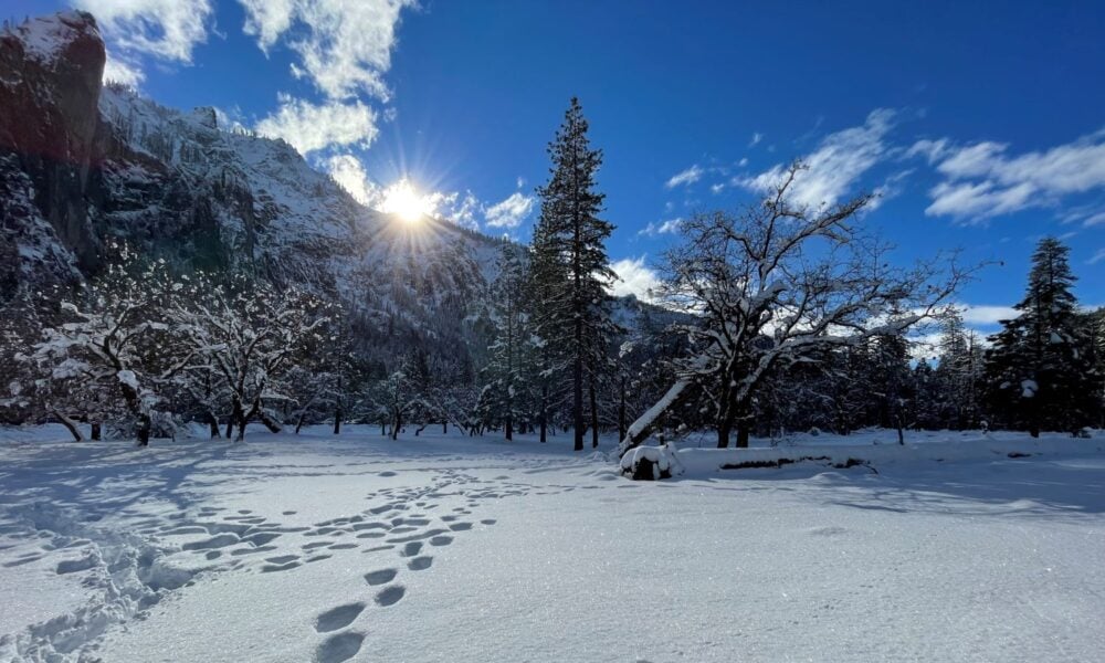 在阳光明媚的日子里，加利福尼亚的积雪上留下了脚印