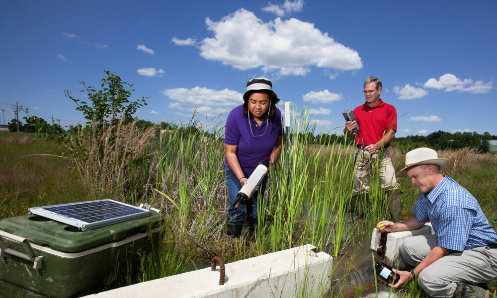 photo of three scientists measuring water quality in a marshy area with tall grasses; they are each wearing high rubber boots and holding different pieces of equipment