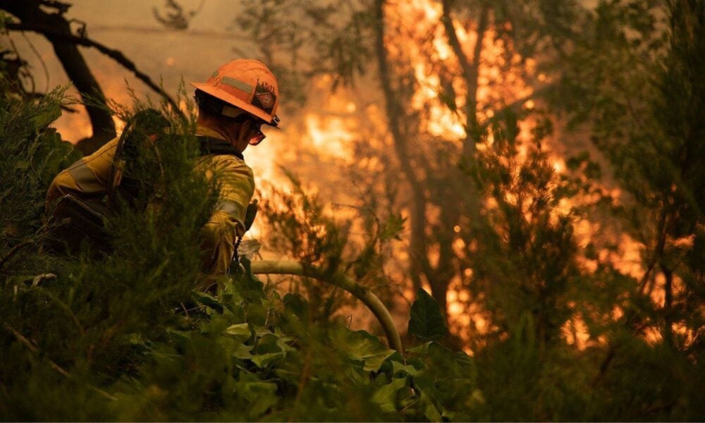 Firefighter battling 2020 El Dorado Fire, California.
