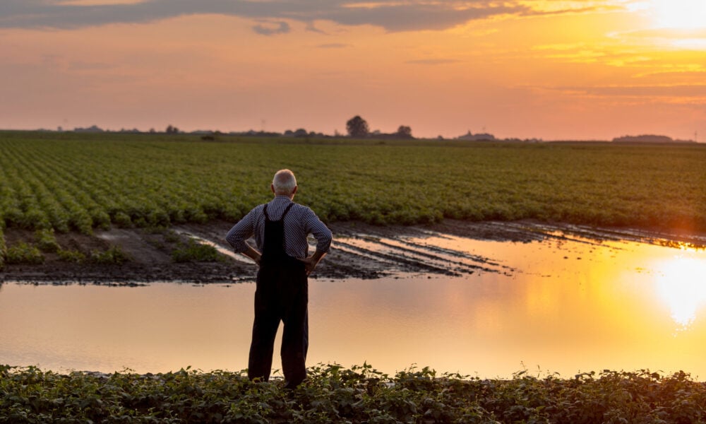 图为一位农民望向被淹的田地;太阳在背景中落下，光线被洪水反射