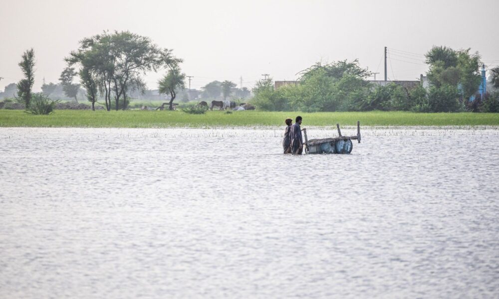 2022年，巴基斯坦俾路支省，两个人推着一辆手推车穿过一条河流