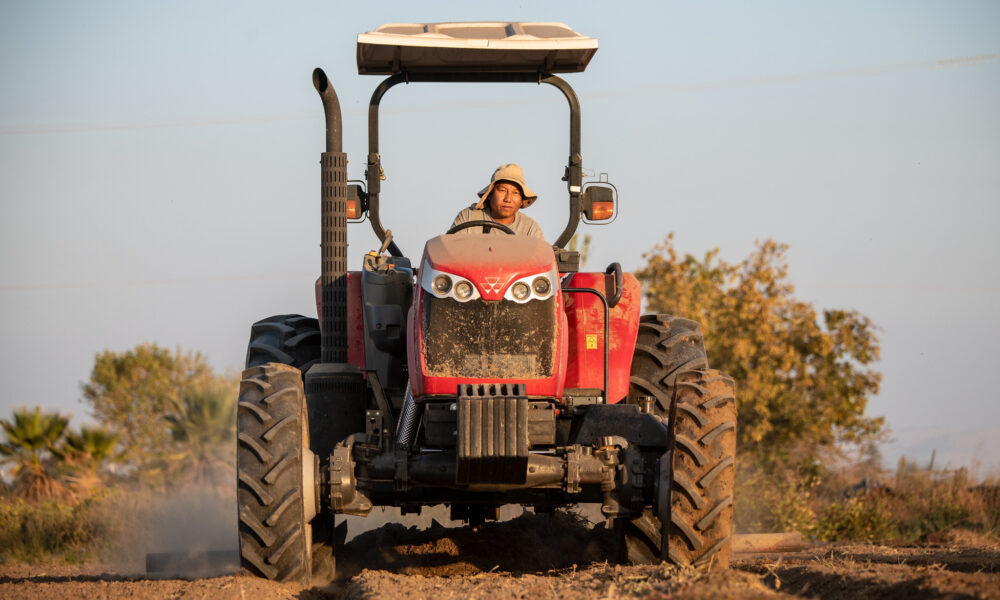 photo of a farmer wearing a bucket hat and driving a tractor toward the camera, with some trees and hazy sky in the background