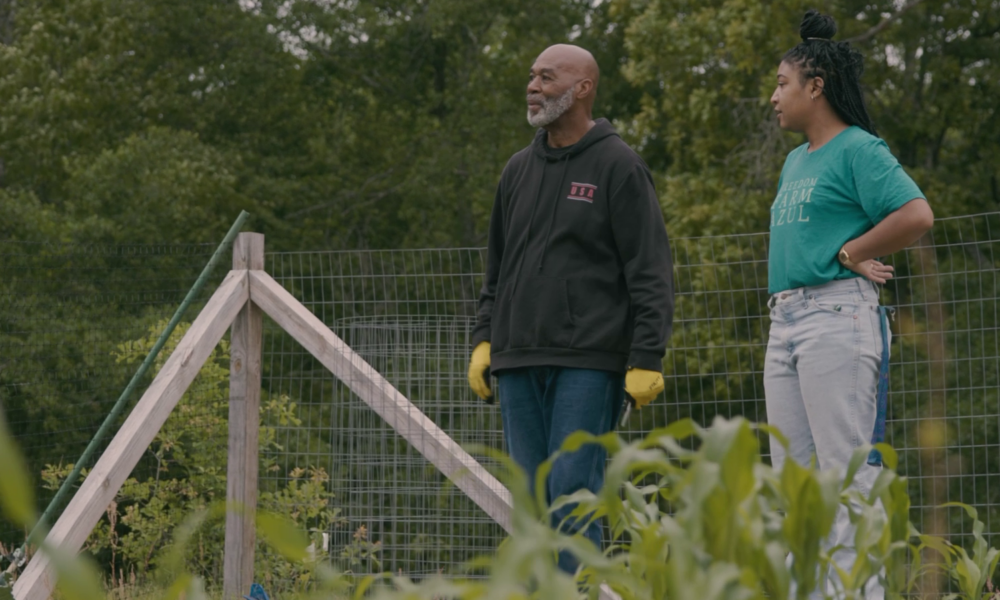 的照片,两个黑人农民,一个男性和一个女性e, standing side by side looking out at their farm, with woods in the background